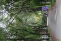 20160503120216.jpg