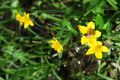 20160504142924.jpg