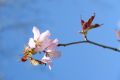 20160504142927.jpg