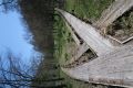20160504142929.jpg