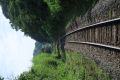 20160809081151.jpg