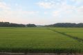 20160809175210.jpg